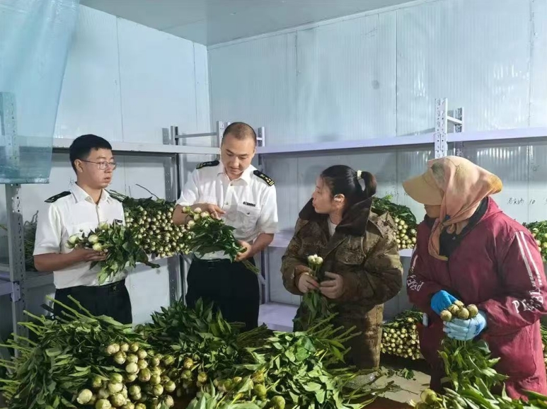 微信截图_20250630140656.jpg