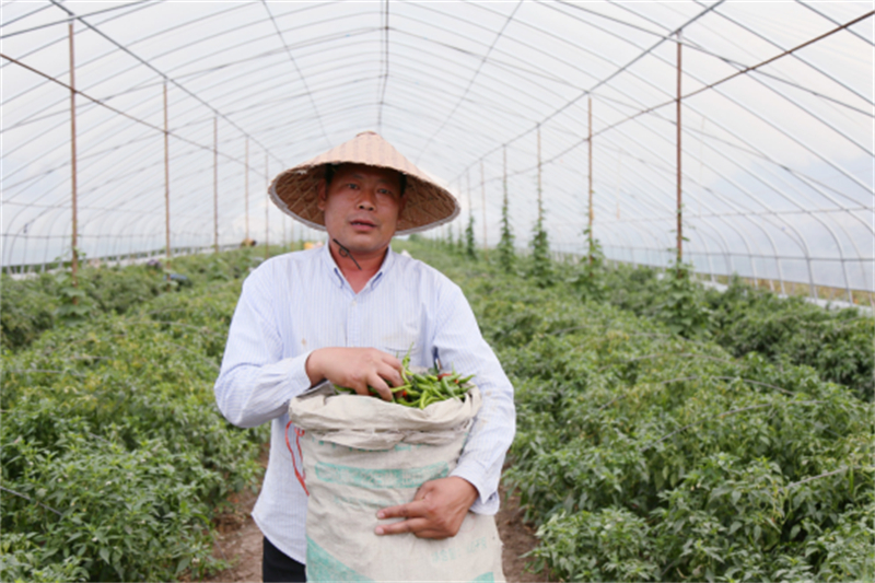 新建 DOC 文档1343.jpg