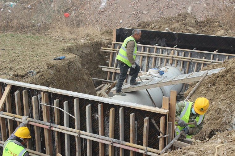 1767085126290630.jpg 图片1.jpg