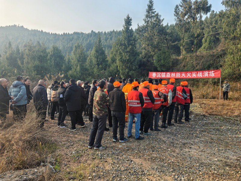 1767938762725193.jpg 图片1.jpg