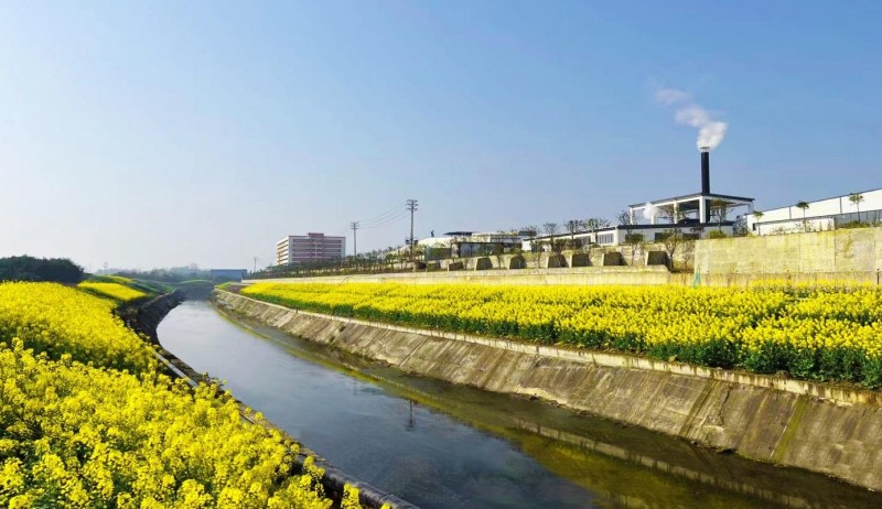 1768285178464838.jpg 图片1.jpg