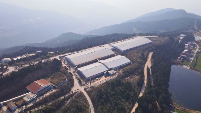 1768554909255426.jpg 图片1.jpg