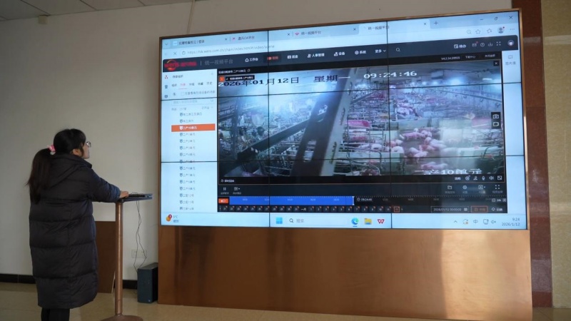 1768554916204147.jpg 图片3.jpg