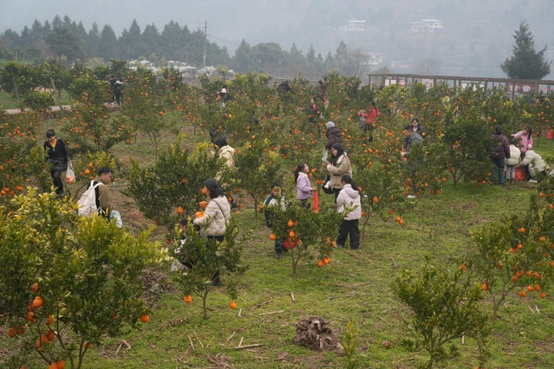 1768814776668642.jpg 图片4.jpg