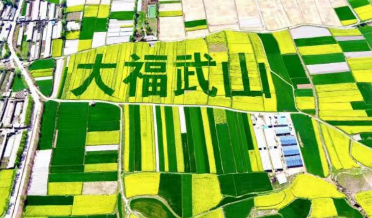 1769673609753799.jpg ScreenShot_2026-01-29_155414_657.jpg