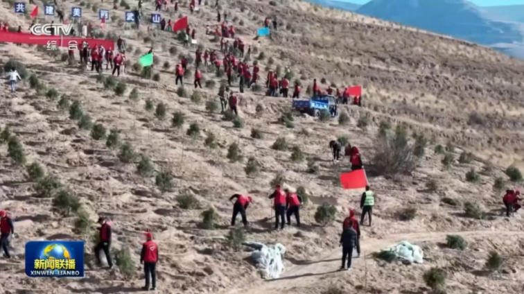 1769673615984926.jpg ScreenShot_2026-01-29_155426_200.jpg