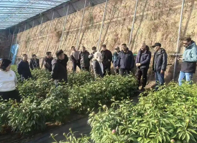 1771049367921894.jpg 微信截图_20260214140632.jpg