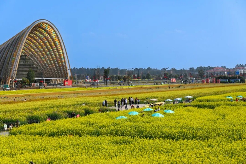 1772260131324007.jpg 1.jpg