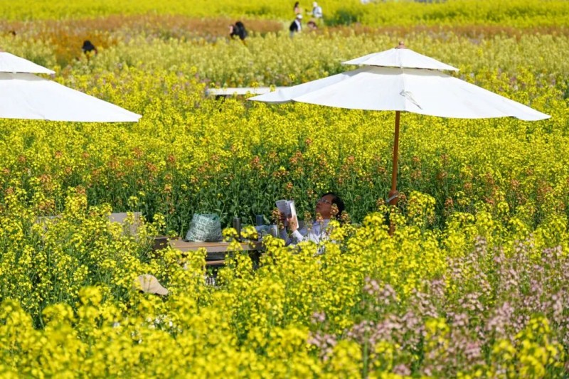 1772260134734586.jpg 2.jpg