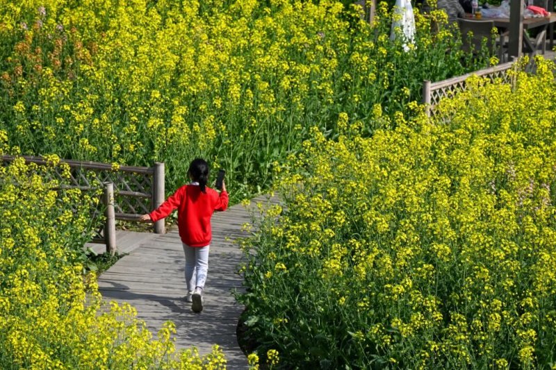 1772260138257468.jpg 3.jpg