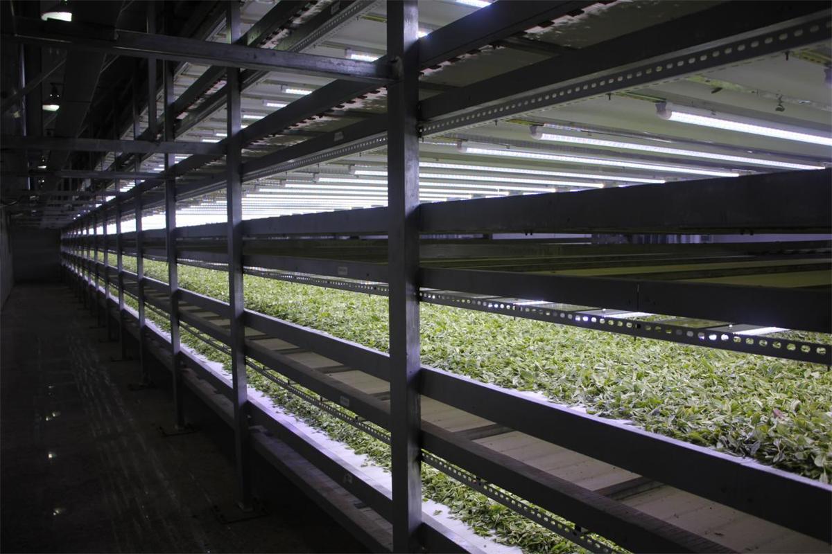 1773211878973451.jpeg image4.jpeg