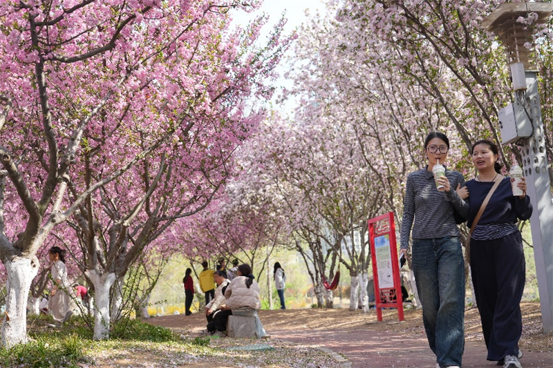 1775542403706893.jpg 图片1.jpg