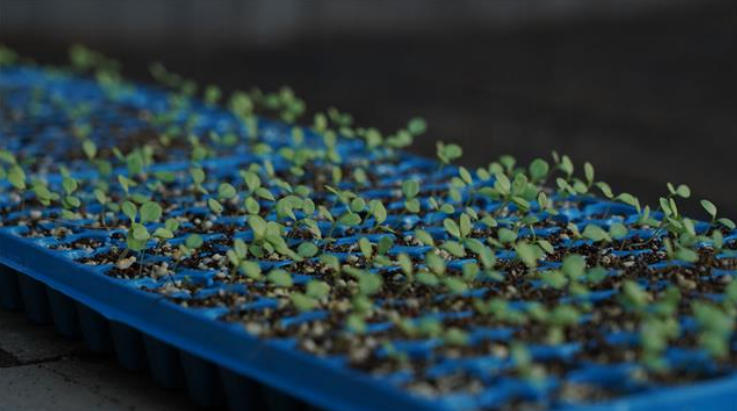 1776155316932787.jpg ScreenShot_2026-04-14_162712_515.jpg