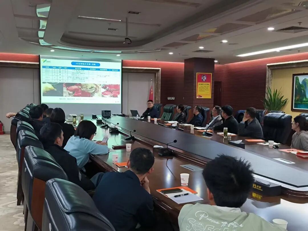 1776325299849592.jpg 7640.jpg