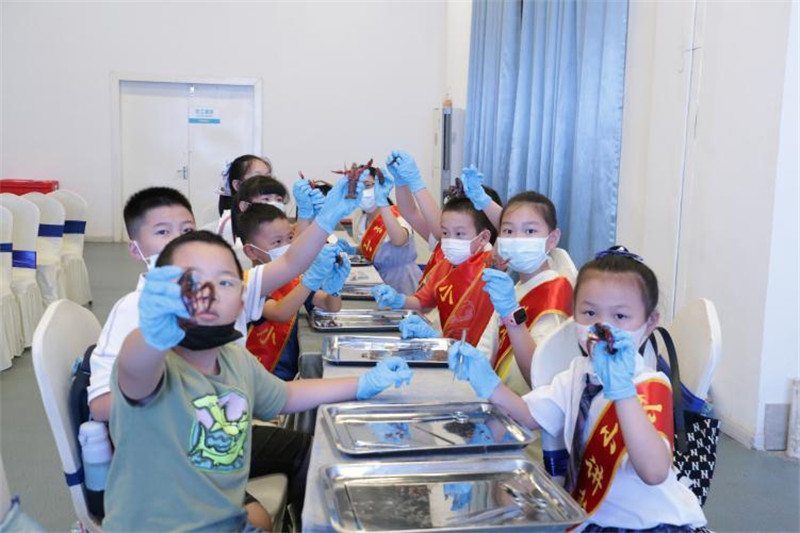 图片 12.jpg