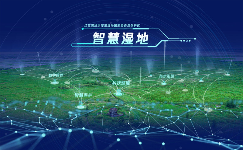 图片 4.jpg