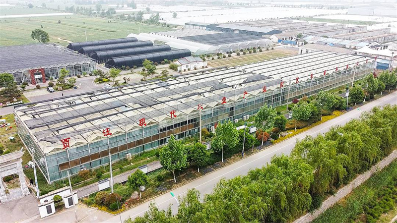 图片 1.jpg