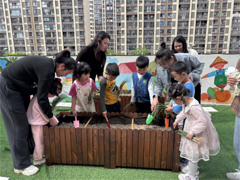 读书种菜两不误，苏州甪直陶浜社区把谷雨玩出新花样552.jpg