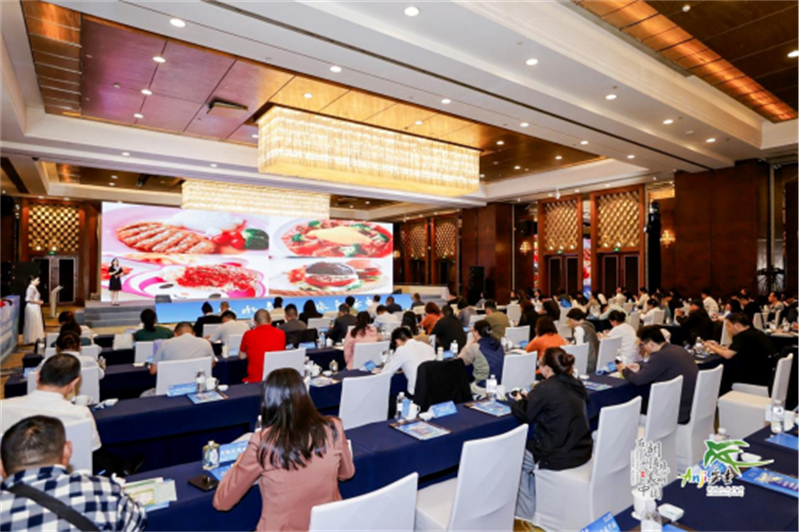 安吉携手南京 共绘长三角文旅融合发展新蓝图586.jpg