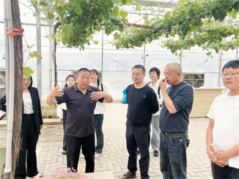 江阴市葡萄产业链联合党委赴多地“取经” 助推葡萄产业高质量发展1360.jpg