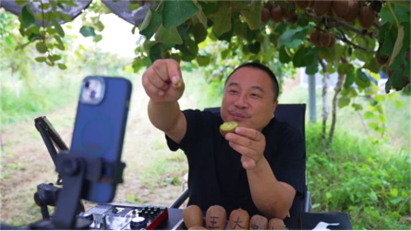 1759030513740405.jpg 从果园到屏幕!睢宁猕猴桃“飞”往全国226.jpg