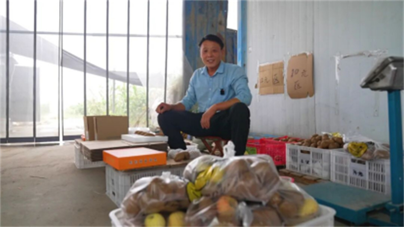 1759030558310111.jpg 从果园到屏幕!睢宁猕猴桃“飞”往全国1438.jpg