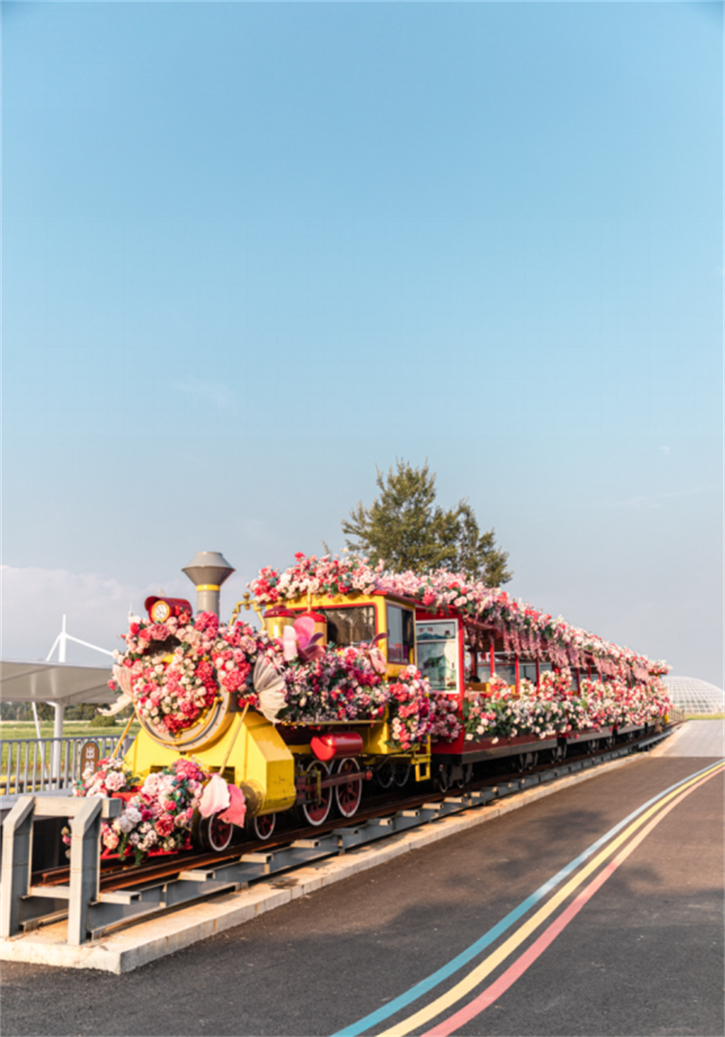 新建 DOC 文档2449.jpg