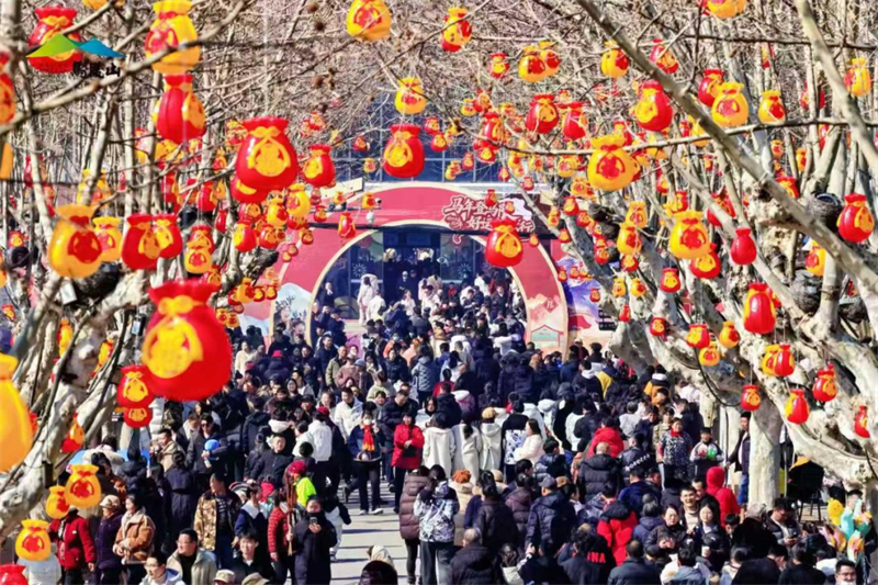 1772162941894385.jpg 图片3.jpg