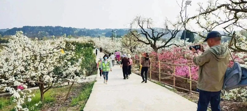微信图片_202303131412171.jpg