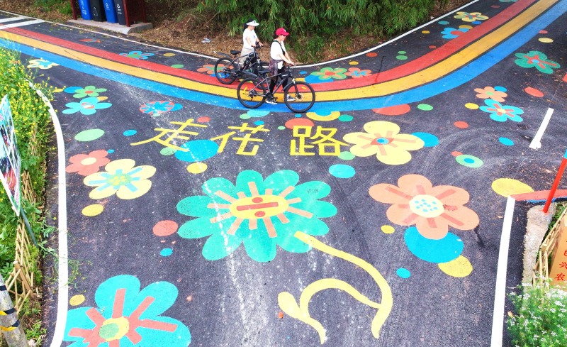 仁寿县宝马镇的花道.jpg