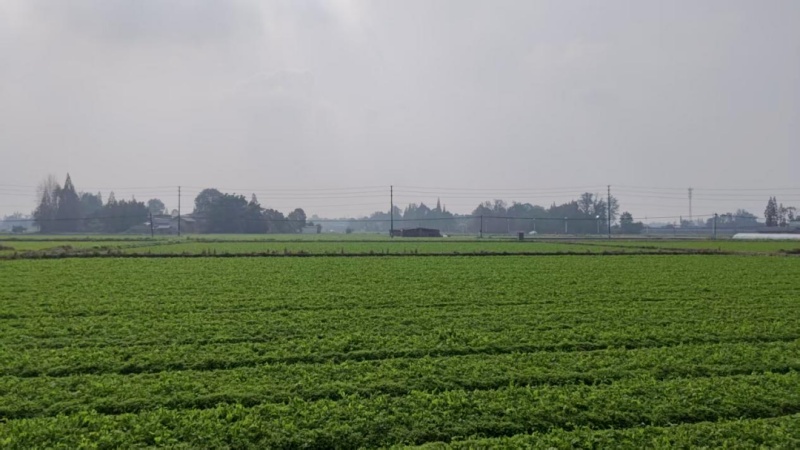 1768791420561353.jpg 3.jpg