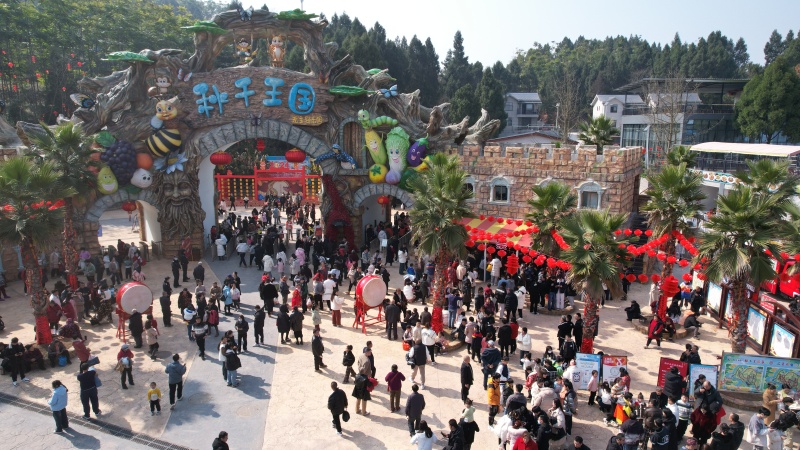 1768791555680100.jpg 图片3.jpg