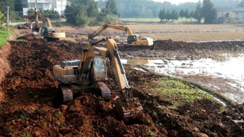 1768898224804246.jpg 图片1.jpg