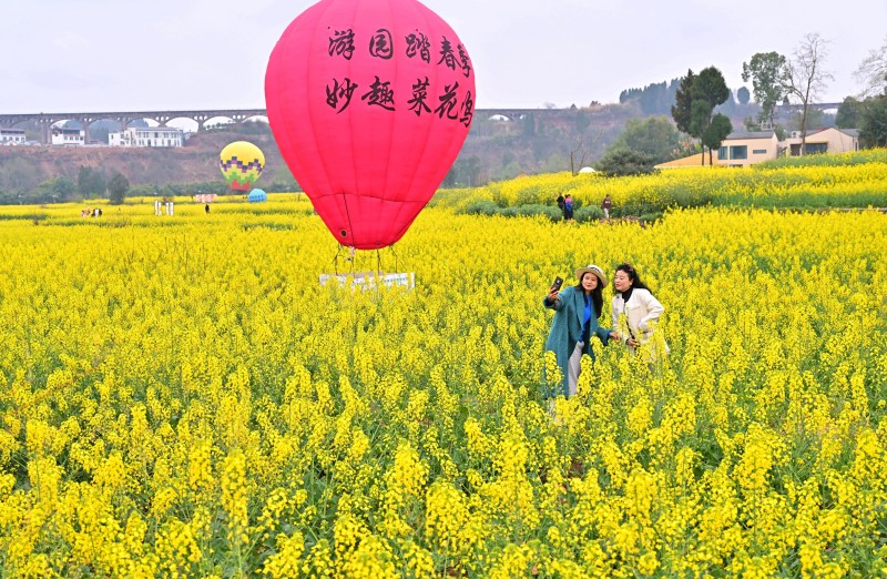 1772441959248295.jpg 7.jpg