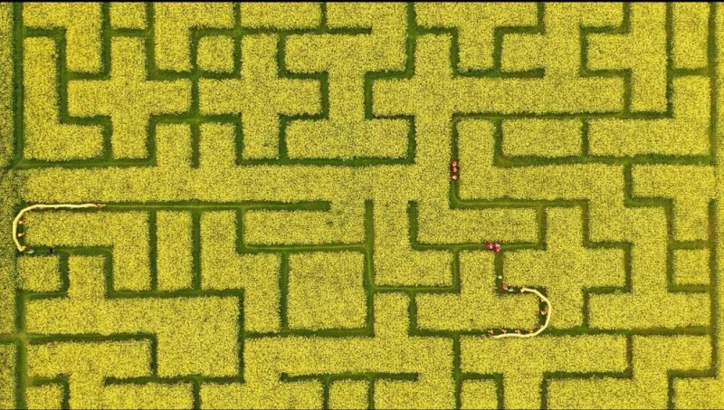 1772777906350128.jpg 3.jpg