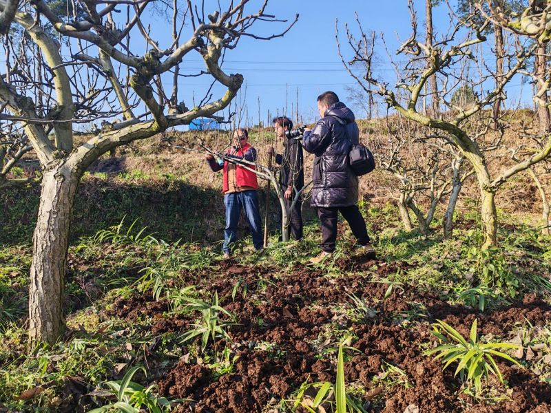 1773218792962255.jpg 图片1.jpg