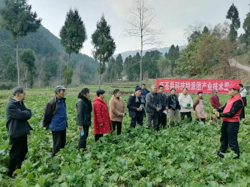 1773218796846403.jpg 图片2.jpg