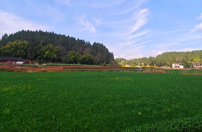 1773279629626786.jpg 5.jpg