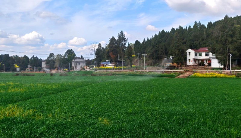 1773279633224230.jpg 6.jpg