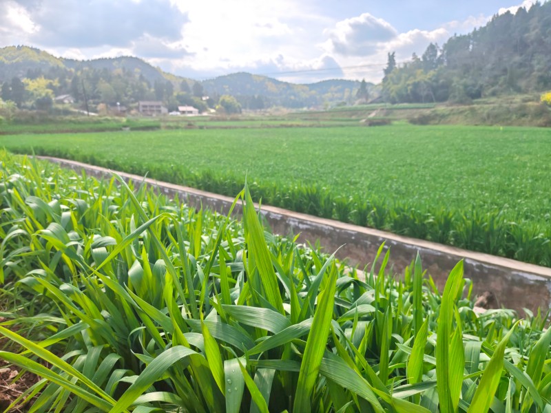 1773279636384180.jpg 7.jpg