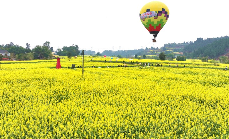 1773286296681882.jpg 11.jpg