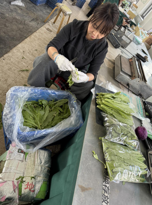 1774581876175264.jpg ScreenShot_2026-03-27_112329_799.jpg