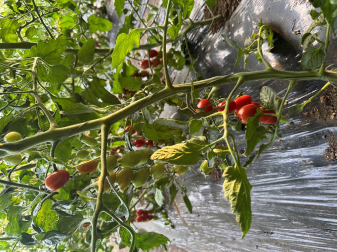 1774581883707025.jpg ScreenShot_2026-03-27_112337_447.jpg