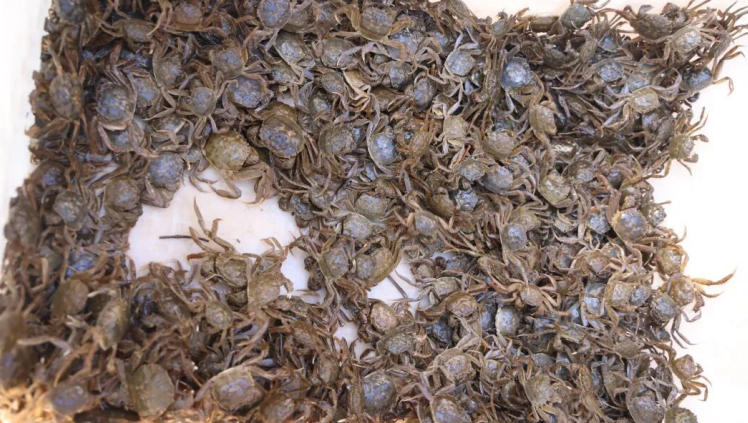 1776316487950429.jpg ScreenShot_2026-04-16_124057_059.jpg