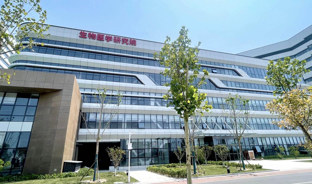 1773974814758570.jpg 33.jpg