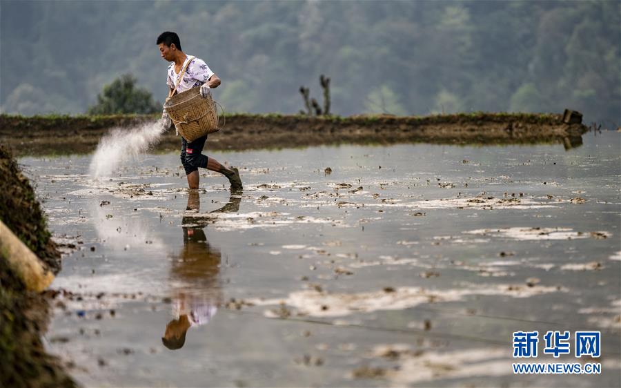 （脱贫攻坚·扶贫印记）（1）大头村脱贫了