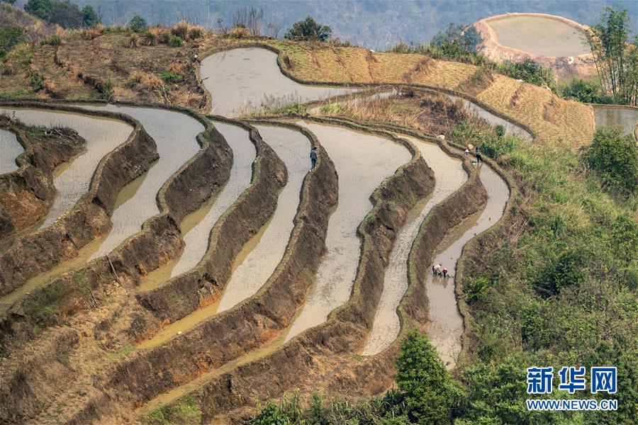 （脱贫攻坚·扶贫印记）（7）大头村脱贫了