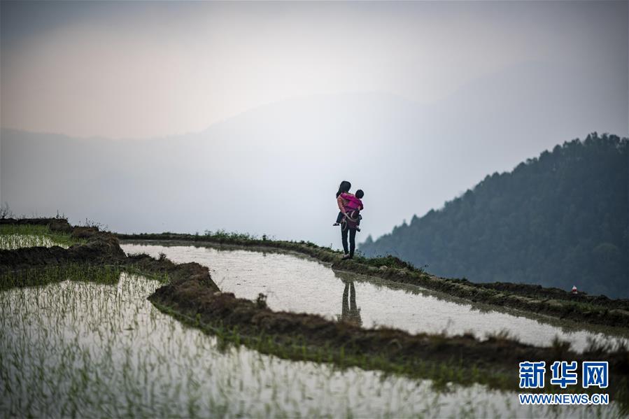 （脱贫攻坚·扶贫印记）（13）大头村脱贫了