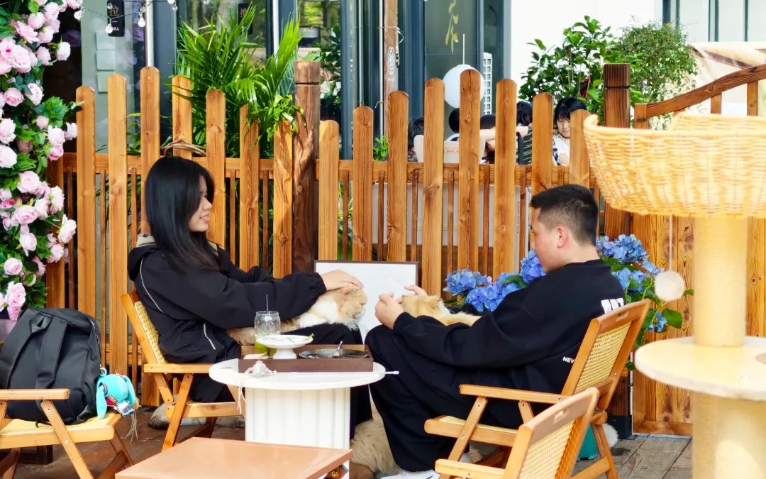 1771979856260035.jpg WPS图片(9).jpg