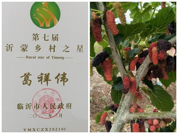 1646491155826153.jpg 葛洪伟2.jpg